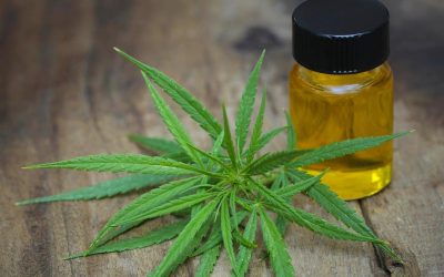 Broad Spectrum CBD VS Full Spectrum CBD