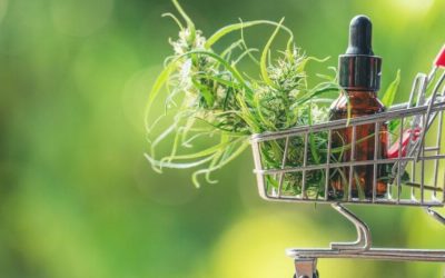 FSA TO REMOVE CBD PRODUCTS FROM SALE