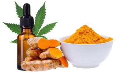 WHY CBD AND TURMERIC CAPSULES ARE A GAME CHANGER?