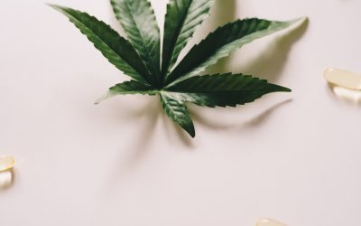 UNCOMMON AND EXCITING USES FOR CBD