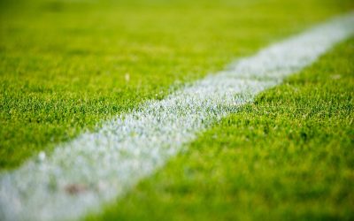 CBD for Sports: Why Athletes are Turning to THC-Free Hemp Extracts for Improved Performance