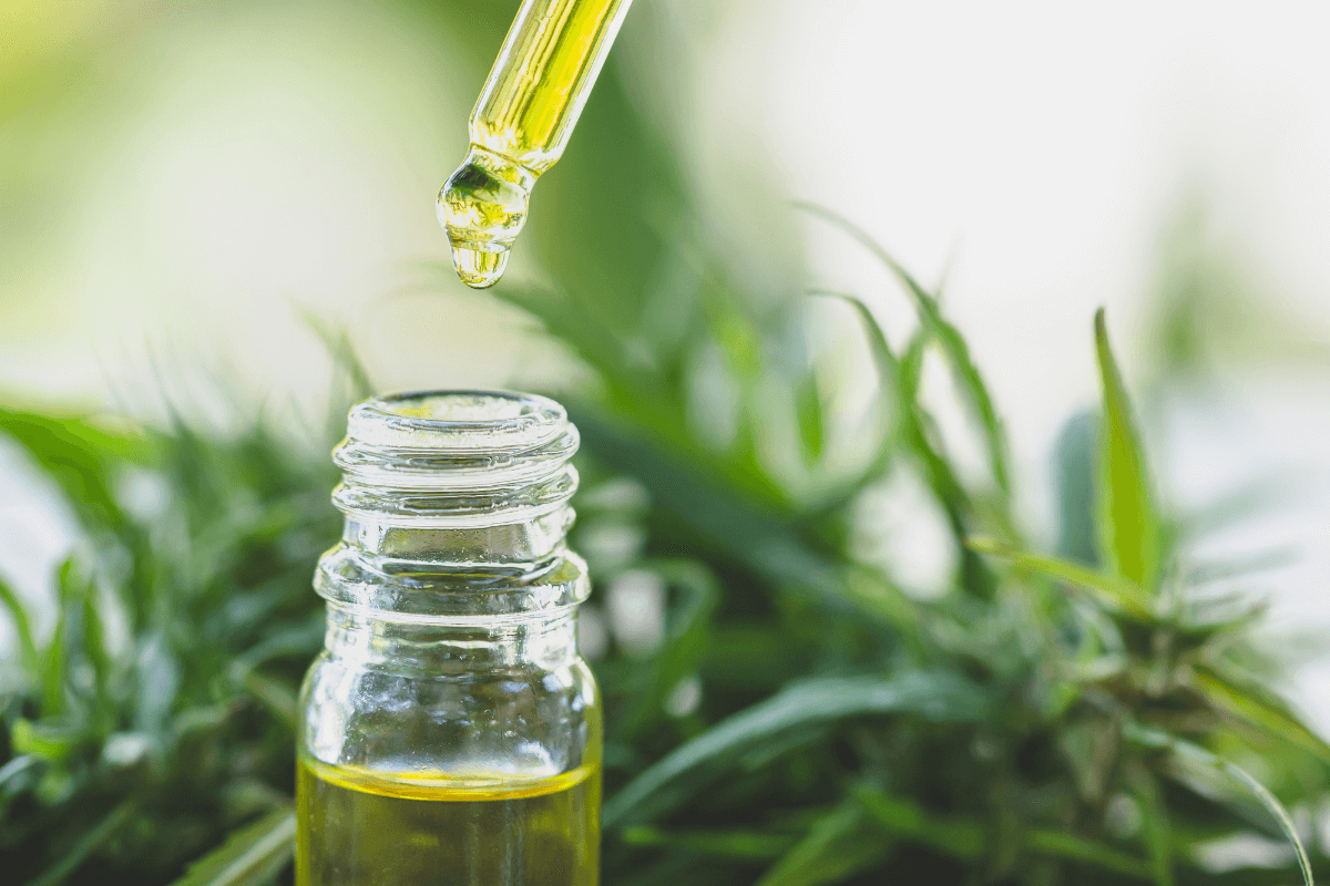 Cbd Extraction Methods A Complete Guide Purity Hemp